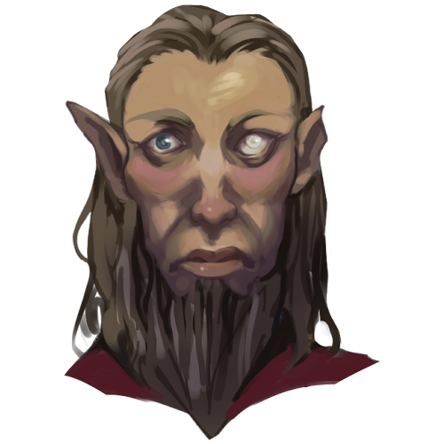 Elf Elder (D&D)