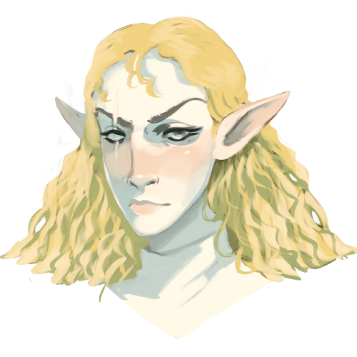 Elf Noble (D&D)