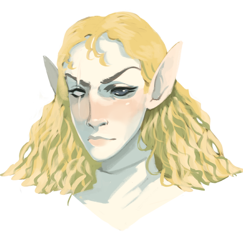 Elf Noble (Pathfinder)