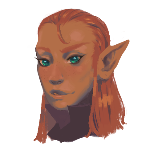 Elf Wizard (D&D)