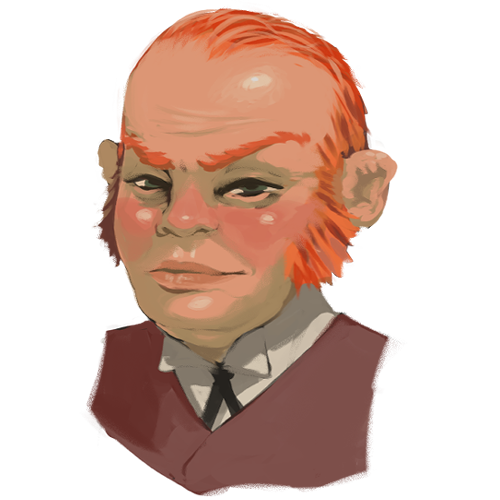 Gnome Noble